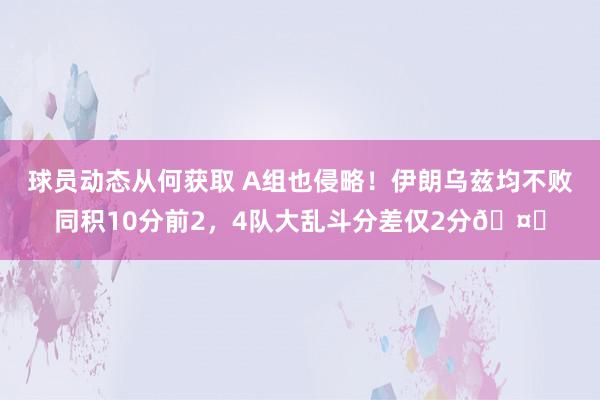 球员动态从何获取 A组也侵略！伊朗乌兹均不败同积10分前2，4队大乱斗分差仅2分🤓