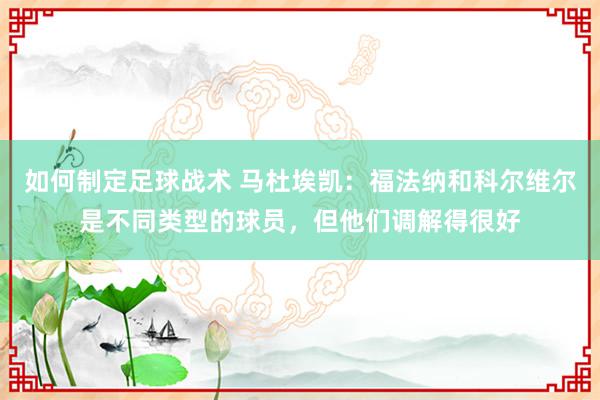 如何制定足球战术 马杜埃凯：福法纳和科尔维尔是不同类型的球员，但他们调解得很好