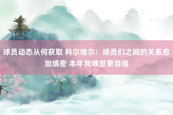 球员动态从何获取 科尔维尔：球员们之间的关系愈加缜密 本年我嗅觉更自信