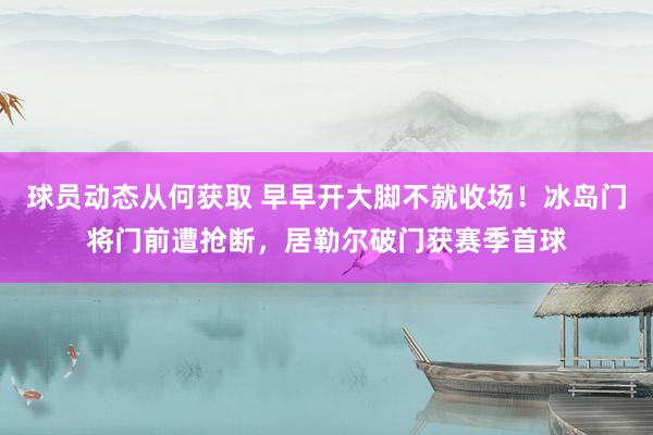 球员动态从何获取 早早开大脚不就收场！冰岛门将门前遭抢断，居勒尔破门获赛季首球