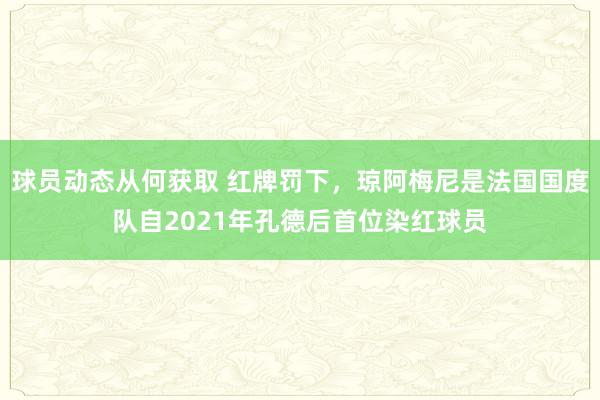 球员动态从何获取 红牌罚下，琼阿梅尼是法国国度队自2021年孔德后首位染红球员