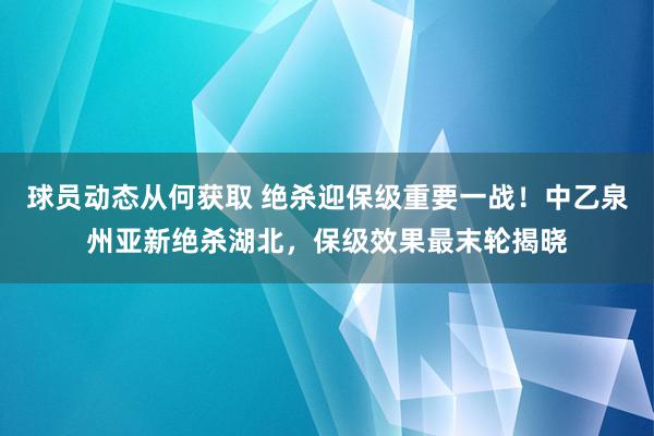 球员动态从何获取 绝杀迎保级重要一战！中乙泉州亚新绝杀湖北，保级效果最末轮揭晓