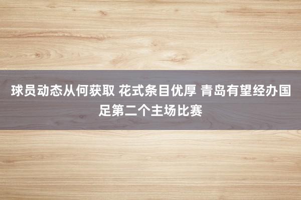 球员动态从何获取 花式条目优厚 青岛有望经办国足第二个主场比赛