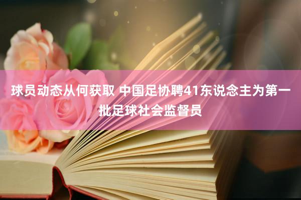 球员动态从何获取 中国足协聘41东说念主为第一批足球社会监督员