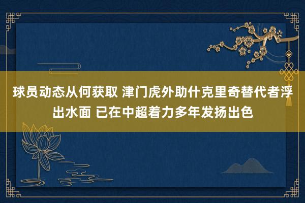 球员动态从何获取 津门虎外助什克里奇替代者浮出水面 已在中超着力多年发扬出色