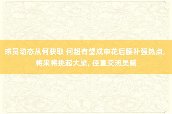 球员动态从何获取 何超有望成申花后腰补强热点, 将来将挑起大梁, 径直交班吴曦