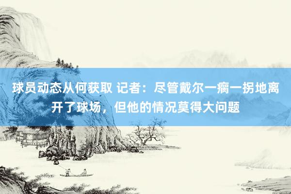 球员动态从何获取 记者：尽管戴尔一瘸一拐地离开了球场，但他的情况莫得大问题