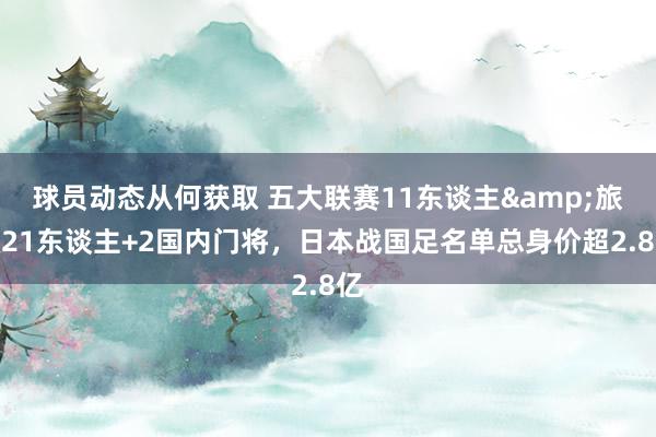 球员动态从何获取 五大联赛11东谈主&旅欧21东谈主+2国内门将，日本战国足名单总身价超2.8亿