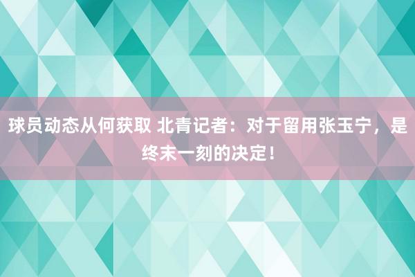 球员动态从何获取 北青记者：对于留用张玉宁，是终末一刻的决定！