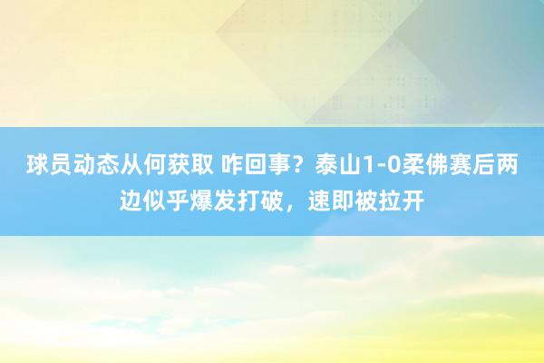 球员动态从何获取 咋回事？泰山1-0柔佛赛后两边似乎爆发打破，速即被拉开