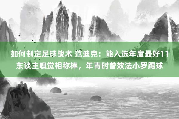 如何制定足球战术 范迪克：能入选年度最好11东谈主嗅觉相称棒，年青时曾效法小罗踢球