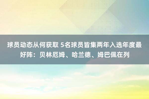 球员动态从何获取 5名球员皆集两年入选年度最好阵：贝林厄姆、哈兰德、姆巴佩在列