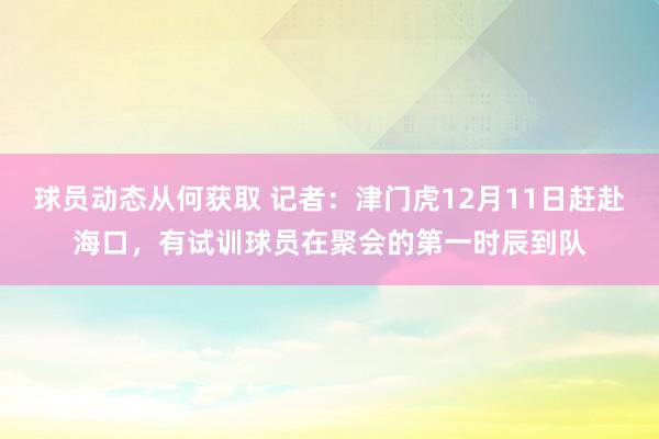 球员动态从何获取 记者：津门虎12月11日赶赴海口，有试训球员在聚会的第一时辰到队