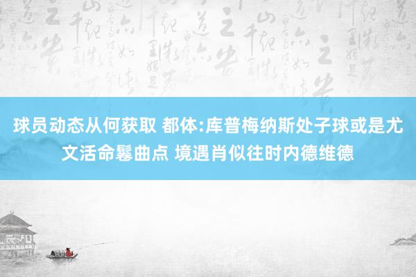 球员动态从何获取 都体:库普梅纳斯处子球或是尤文活命鬈曲点 境遇肖似往时内德维德