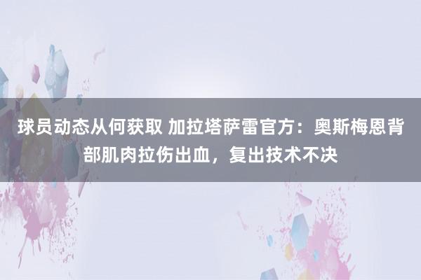 球员动态从何获取 加拉塔萨雷官方：奥斯梅恩背部肌肉拉伤出血，复出技术不决