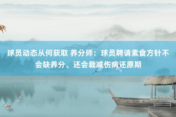 球员动态从何获取 养分师：球员聘请素食方针不会缺养分、还会裁减伤病还原期