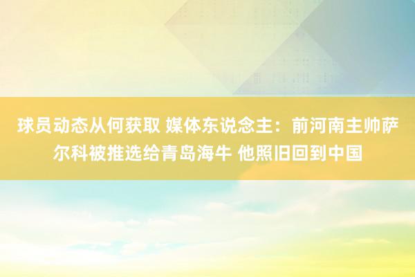 球员动态从何获取 媒体东说念主：前河南主帅萨尔科被推选给青岛海牛 他照旧回到中国