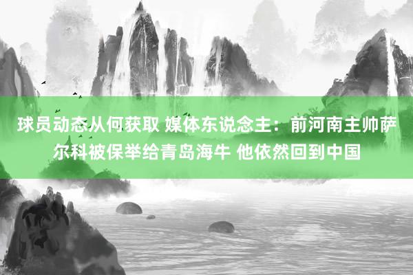 球员动态从何获取 媒体东说念主：前河南主帅萨尔科被保举给青岛海牛 他依然回到中国