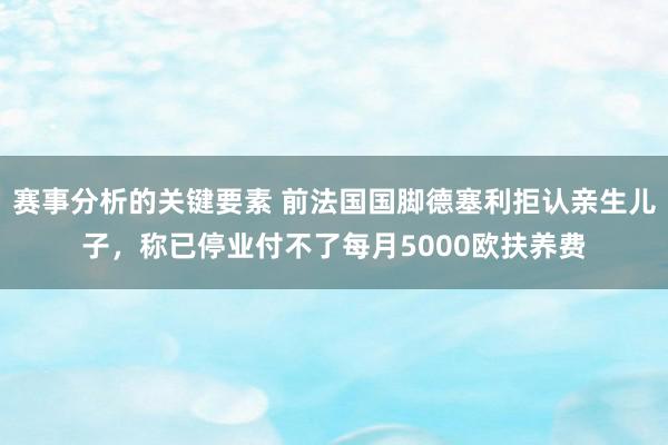 赛事分析的关键要素 前法国国脚德塞利拒认亲生儿子，称已停业付不了每月5000欧扶养费