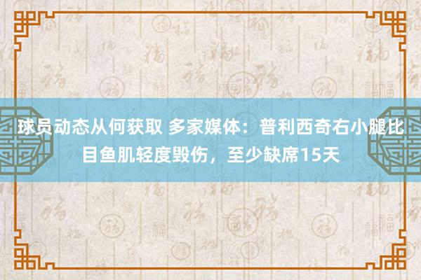 球员动态从何获取 多家媒体：普利西奇右小腿比目鱼肌轻度毁伤，至少缺席15天