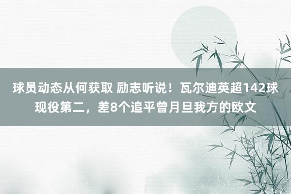 球员动态从何获取 励志听说！瓦尔迪英超142球现役第二，差8个追平曾月旦我方的欧文