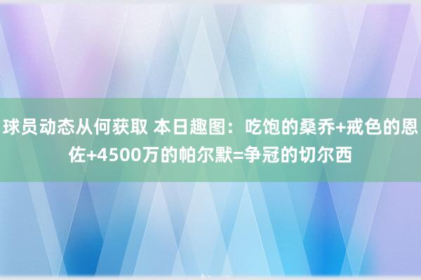 球员动态从何获取 本日趣图：吃饱的桑乔+戒色的恩佐+4500万的帕尔默=争冠的切尔西