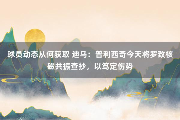 球员动态从何获取 迪马：普利西奇今天将罗致核磁共振查抄，以笃定伤势