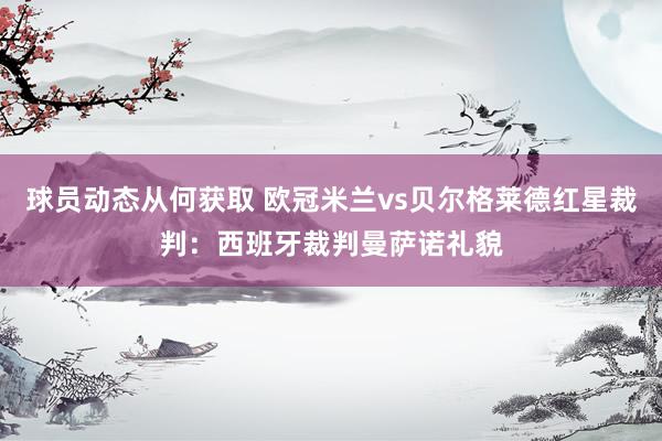 球员动态从何获取 欧冠米兰vs贝尔格莱德红星裁判：西班牙裁判曼萨诺礼貌