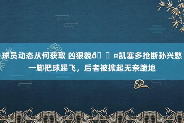 球员动态从何获取 凶狠貌😤凯塞多抢断孙兴慜一脚把球踢飞，后者被掀起无奈跪地