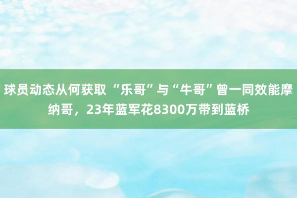 球员动态从何获取 “乐哥”与“牛哥”曾一同效能摩纳哥，23年蓝军花8300万带到蓝桥