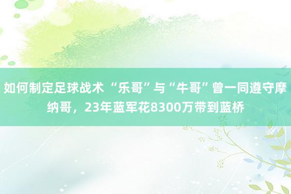 如何制定足球战术 “乐哥”与“牛哥”曾一同遵守摩纳哥，23年蓝军花8300万带到蓝桥