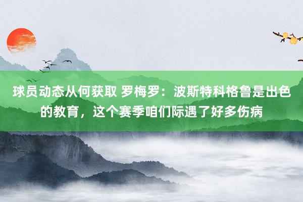 球员动态从何获取 罗梅罗：波斯特科格鲁是出色的教育，这个赛季咱们际遇了好多伤病