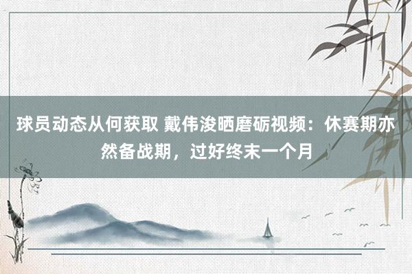 球员动态从何获取 戴伟浚晒磨砺视频：休赛期亦然备战期，过好终末一个月