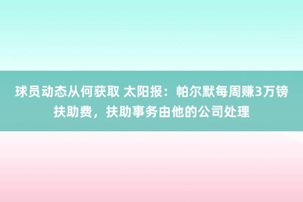 球员动态从何获取 太阳报：帕尔默每周赚3万镑扶助费，扶助事务由他的公司处理