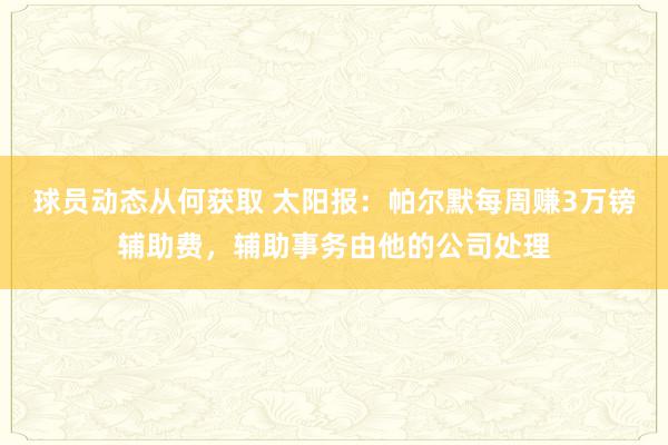 球员动态从何获取 太阳报：帕尔默每周赚3万镑辅助费，辅助事务由他的公司处理