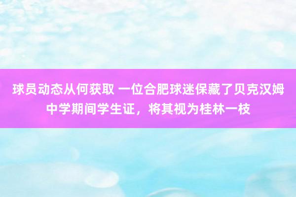 球员动态从何获取 一位合肥球迷保藏了贝克汉姆中学期间学生证，将其视为桂林一枝