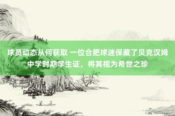 球员动态从何获取 一位合肥球迷保藏了贝克汉姆中学时期学生证，将其视为希世之珍