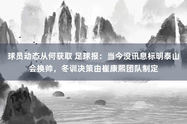 球员动态从何获取 足球报：当今没讯息标明泰山会换帅，冬训决策由崔康熙团队制定