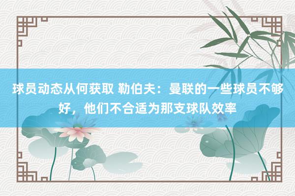 球员动态从何获取 勒伯夫：曼联的一些球员不够好，他们不合适为那支球队效率