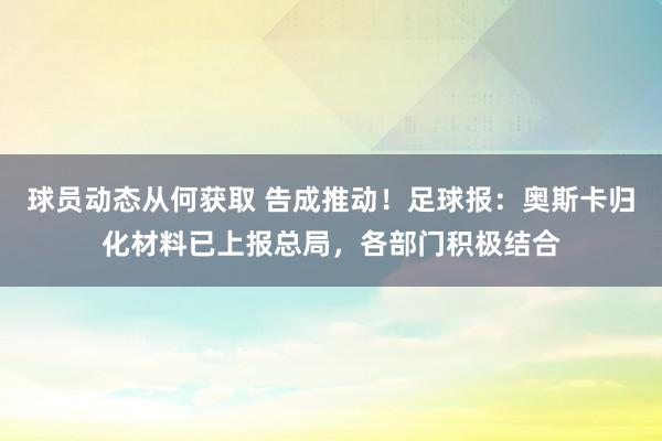 球员动态从何获取 告成推动！足球报：奥斯卡归化材料已上报总局，各部门积极结合