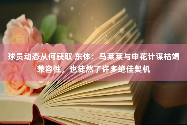 球员动态从何获取 东体：马莱莱与申花计谋枯竭兼容性，也徒然了许多绝佳契机