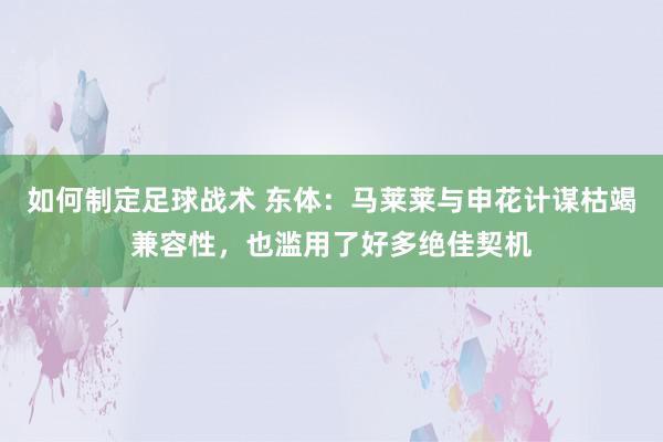 如何制定足球战术 东体：马莱莱与申花计谋枯竭兼容性，也滥用了好多绝佳契机