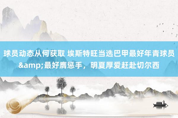 球员动态从何获取 埃斯特旺当选巴甲最好年青球员&最好膺惩手，明夏厚爱赶赴切尔西