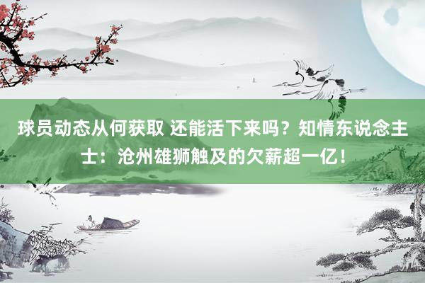 球员动态从何获取 还能活下来吗？知情东说念主士：沧州雄狮触及的欠薪超一亿！