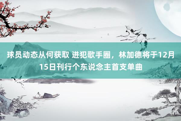 球员动态从何获取 进犯歌手圈，林加德将于12月15日刊行个东说念主首支单曲