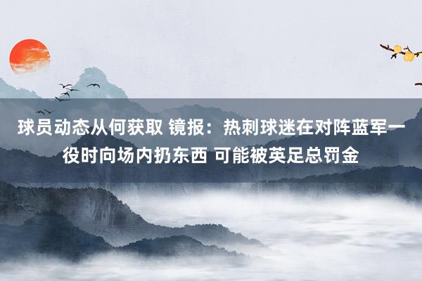 球员动态从何获取 镜报：热刺球迷在对阵蓝军一役时向场内扔东西 可能被英足总罚金