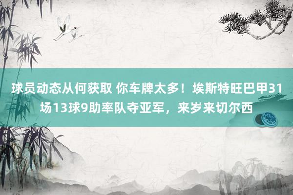 球员动态从何获取 你车牌太多！埃斯特旺巴甲31场13球9助率队夺亚军，来岁来切尔西