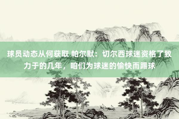 球员动态从何获取 帕尔默：切尔西球迷资格了致力于的几年，咱们为球迷的愉快而踢球