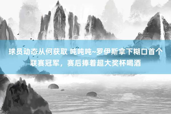 球员动态从何获取 吨吨吨~罗伊斯拿下糊口首个联赛冠军，赛后捧着超大奖杯喝酒