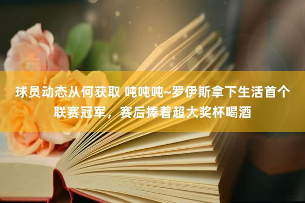 球员动态从何获取 吨吨吨~罗伊斯拿下生活首个联赛冠军，赛后捧着超大奖杯喝酒